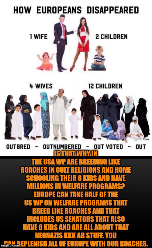Funny | Is that why in the USA WP are breeding like roaches in cult religions and home schooling their 8 kids and have millions in welfare programs? Europe can take half of the US WP on welfare programs that breed like roaches and that includes us senators that also have 8 kids and are all about that neonazis KKK AB stuff. You can replenish all of Europe with our roaches. | image tagged in funny,politics,europe,usa,cockroaches,birth | made w/ Imgflip meme maker