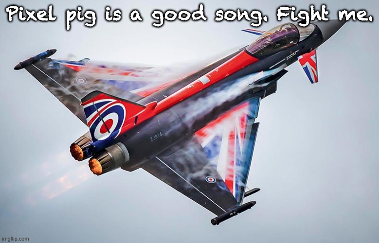 Eurofighter Typhoon | Pixel pig is a good song. Fight me. | image tagged in eurofighter typhoon | made w/ Imgflip meme maker