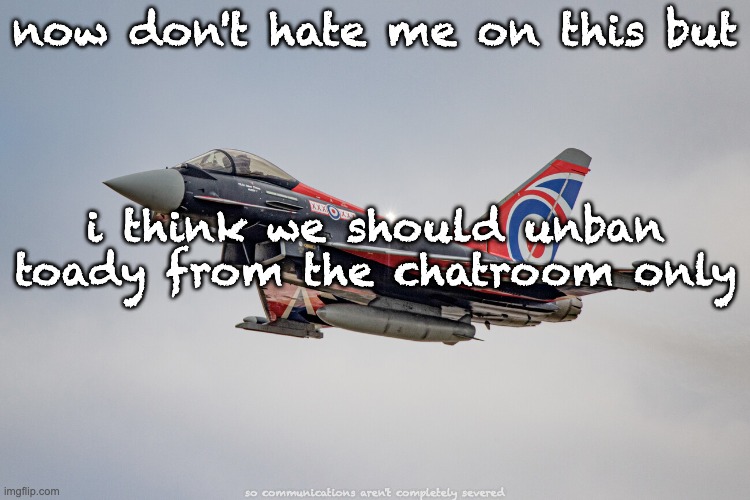 Eurofighter Typhoon Blackjack livery | now don't hate me on this but; i think we should unban toady from the chatroom only; so communications aren't completely severed | image tagged in eurofighter typhoon blackjack livery | made w/ Imgflip meme maker