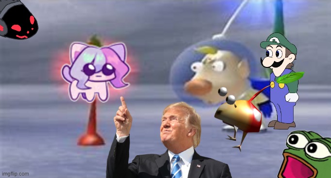 Cat Sashley OwO | image tagged in memes,louie,pikmin,cat sashley,cat,sashley | made w/ Imgflip meme maker