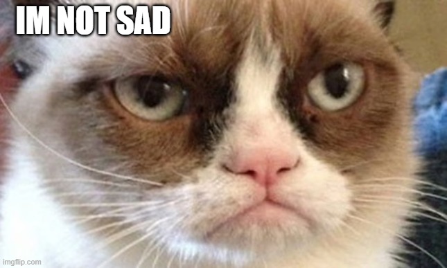 IM NOT SAD | made w/ Imgflip meme maker