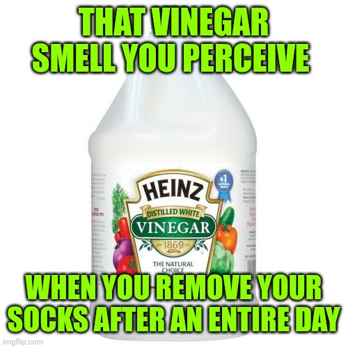 vinegar | That vinegar smell you perceive; When you remove your socks after an entire day | image tagged in vinegar | made w/ Imgflip meme maker