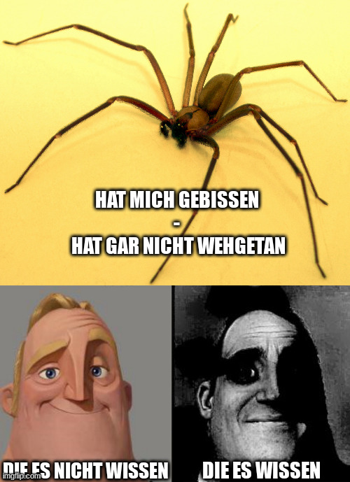 Hat mich gebissen 
- 
hat gar nicht wehgetan; Die es nicht wissen; Die es wissen | image tagged in traumatized mr incredible | made w/ Imgflip meme maker