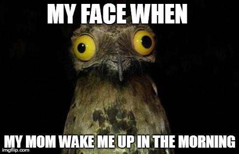 Weird Stuff I Do Potoo | MY FACE WHEN  MY MOM WAKE ME UP IN THE MORNING | image tagged in memes,weird stuff i do potoo | made w/ Imgflip meme maker