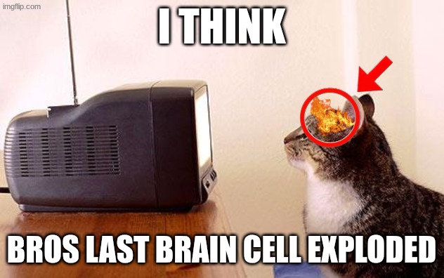 cat watching tv | i think; bros last brain cell exploded | image tagged in cat watching tv | made w/ Imgflip meme maker
