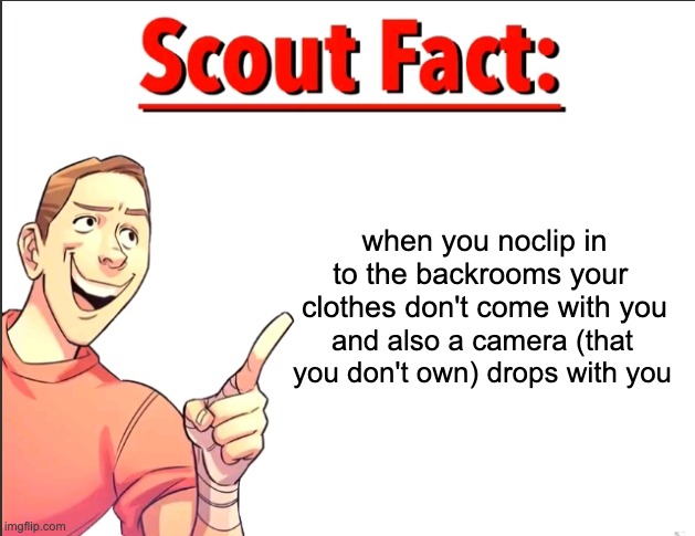 when you noclip in to the backrooms your  clothes don't come with you and also a camera (that you don't own) drops with you | image tagged in scout fact | made w/ Imgflip meme maker