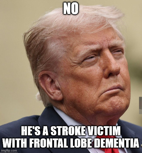 No he's a stroke victim with frontal lobe dementia | image tagged in trump stroke 25th amendment | made w/ Imgflip meme maker