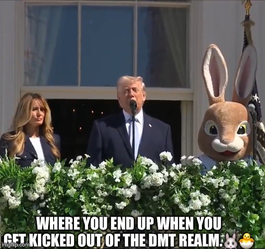 Easter Egg Roll | Where you end up when you get kicked out of the Dmt realm.🐰🐣 | image tagged in easter egg roll,remix | made w/ Imgflip meme maker