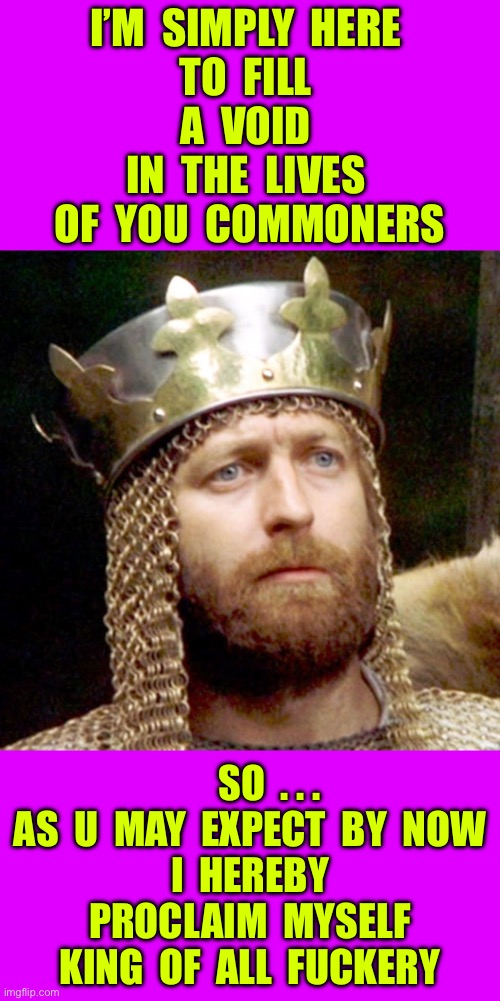 This Meme Is Absolutely Ludicrous !!!  I’m Humbled By My Own Limitations. : ) | I’m  simply  Here 
to  fill 
 A  Void  
in  the  lives 
 Of  you  commoners; So  . . .
As  U  May  expect  by  Now
 I  hereby 
proclaim  myself
King  of  all  Fuckery | image tagged in king arthur,excuse me what the fuck,hilarious memes,i love you | made w/ Imgflip meme maker
