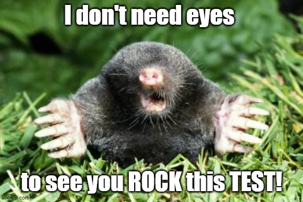 Chemistry Test Day | I don't need eyes; to see you ROCK this TEST! | image tagged in mole | made w/ Imgflip meme maker