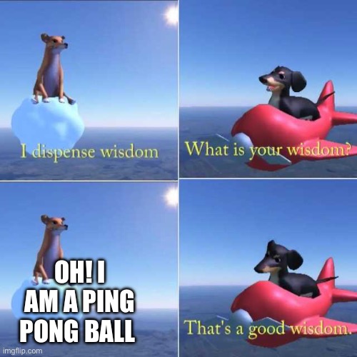 That’s not wisdom | Oh! I am a ping pong ball | image tagged in wisdom dog,true story,ping pong | made w/ Imgflip meme maker