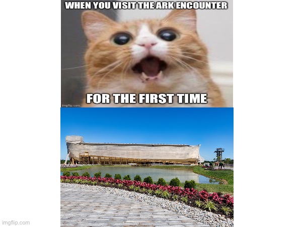 Ark encounter cat | made w/ Imgflip meme maker