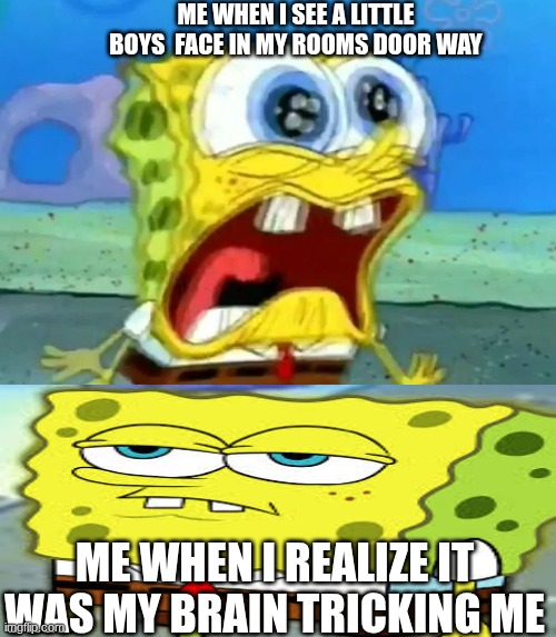 I actually had an experience like this | Me when I see a little boys  face in my rooms door way; Me when I realize it was my brain tricking me | image tagged in spongebob screaming | made w/ Imgflip meme maker
