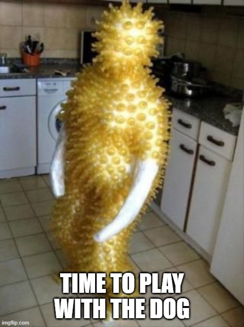 Chew Toy | Time to play with the dog | image tagged in unsee juice | made w/ Imgflip meme maker