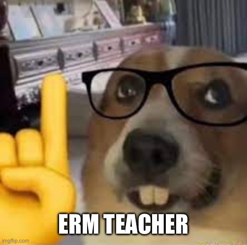nerd dog | Erm teacher | image tagged in nerd dog | made w/ Imgflip meme maker