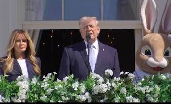 Donald Trump Blank Meme Template