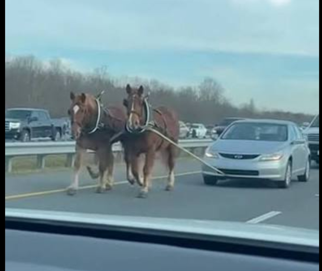 Finanzamt hasst diesen Trick Blank Meme Template