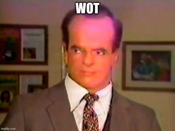 This is some kind of animatronic | wot | image tagged in wot,wut,what,why,when,how | made w/ Imgflip meme maker