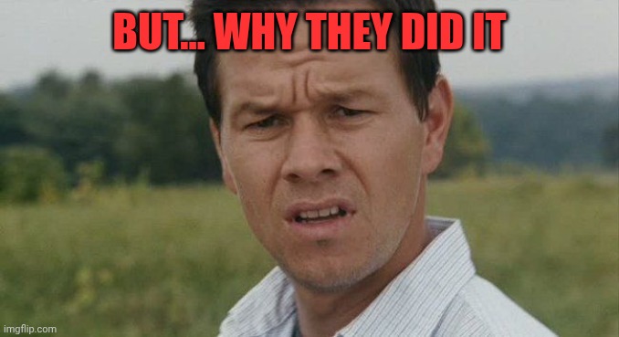Mark Wahlburg confused | But... Why they did it | image tagged in mark wahlburg confused | made w/ Imgflip meme maker
