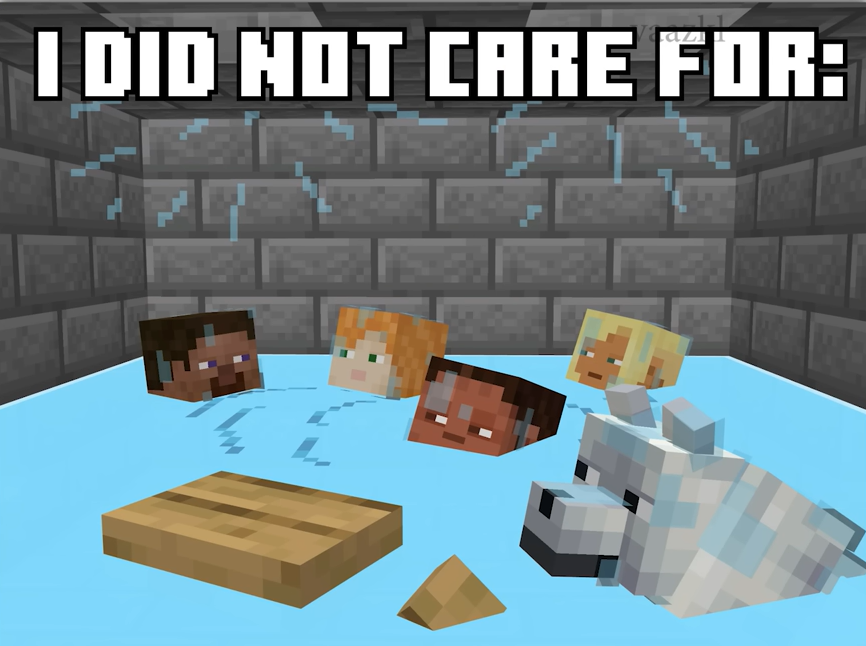 I did not care for but in Minecraft Blank Meme Template