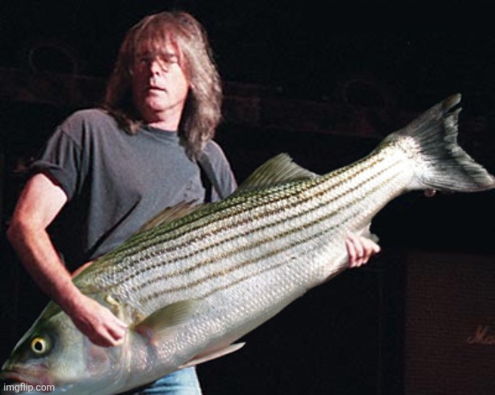 Bass guitar pun | image tagged in bass guitar pun | made w/ Imgflip meme maker