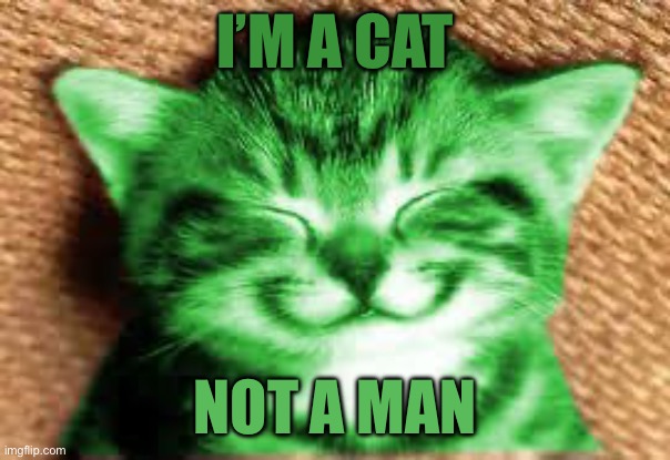 happy RayCat | I’m a cat; Not a man | image tagged in happy raycat | made w/ Imgflip meme maker