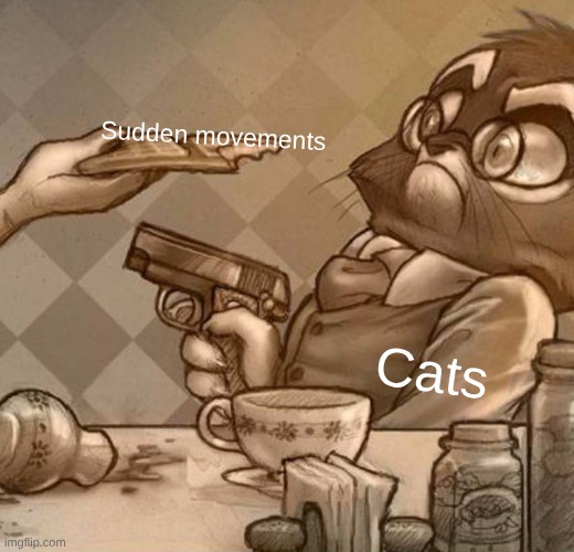 Mordecai Gun | Sudden movements; Cats | image tagged in mordecai gun | made w/ Imgflip meme maker