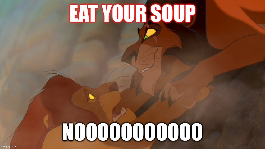 Lion King | Eat your soup; Nooooooooooo | image tagged in lion king | made w/ Imgflip meme maker