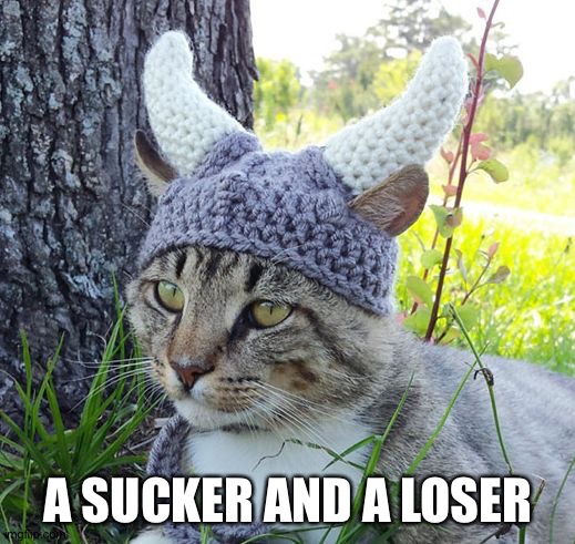 Viking cat In a crochete hat | A Sucker and a Loser | image tagged in viking cat crochete hat,remix | made w/ Imgflip meme maker