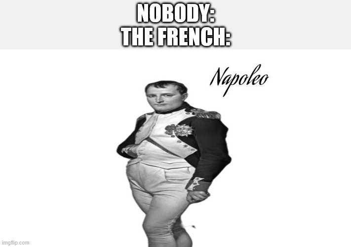 Zajef 37 | nobody:
the french: | image tagged in napoleo | made w/ Imgflip meme maker