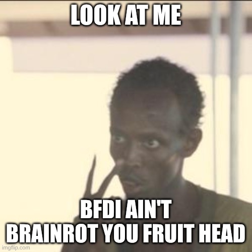 Look At Me Meme | look at me bfdi ain't brainrot you fruit head | image tagged in memes,look at me | made w/ Imgflip meme maker