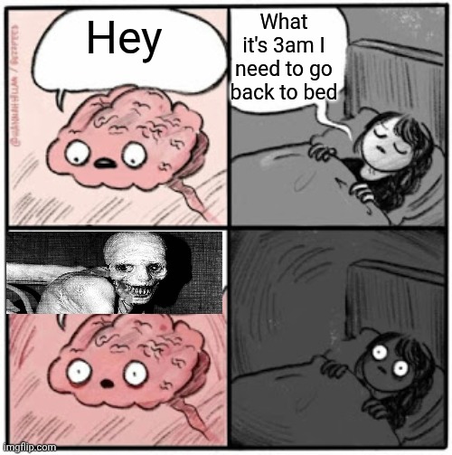 Brain Before Sleep | What it's 3am I need to go back to bed; Hey | image tagged in brain before sleep | made w/ Imgflip meme maker