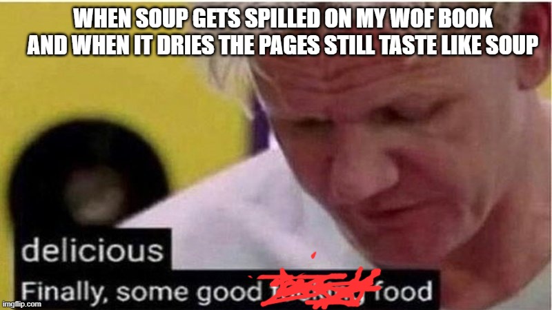 True story | when soup gets spilled on my wof book and when it dries the pages still taste like soup | image tagged in gordon ramsay some good food | made w/ Imgflip meme maker
