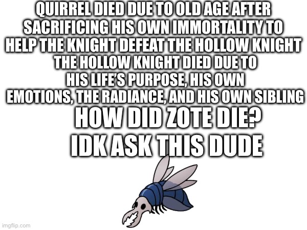 He is a good king. | Quirrel died due to old age after sacrificing his own immortality to help the knight defeat the hollow knight; the hollow knight died due to his life’s purpose, his own emotions, the radiance, and his own sibling; How did zote die? Idk ask this dude | image tagged in hollow knight | made w/ Imgflip meme maker