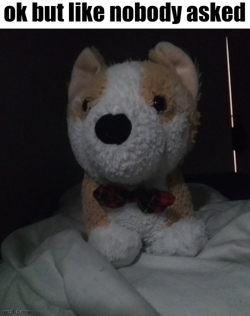 image tagged in ok but like nobody asked | made w/ Imgflip meme maker