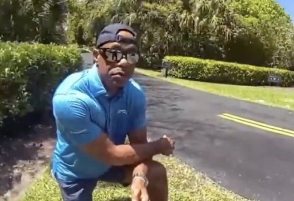 Tiger at the turn Blank Meme Template