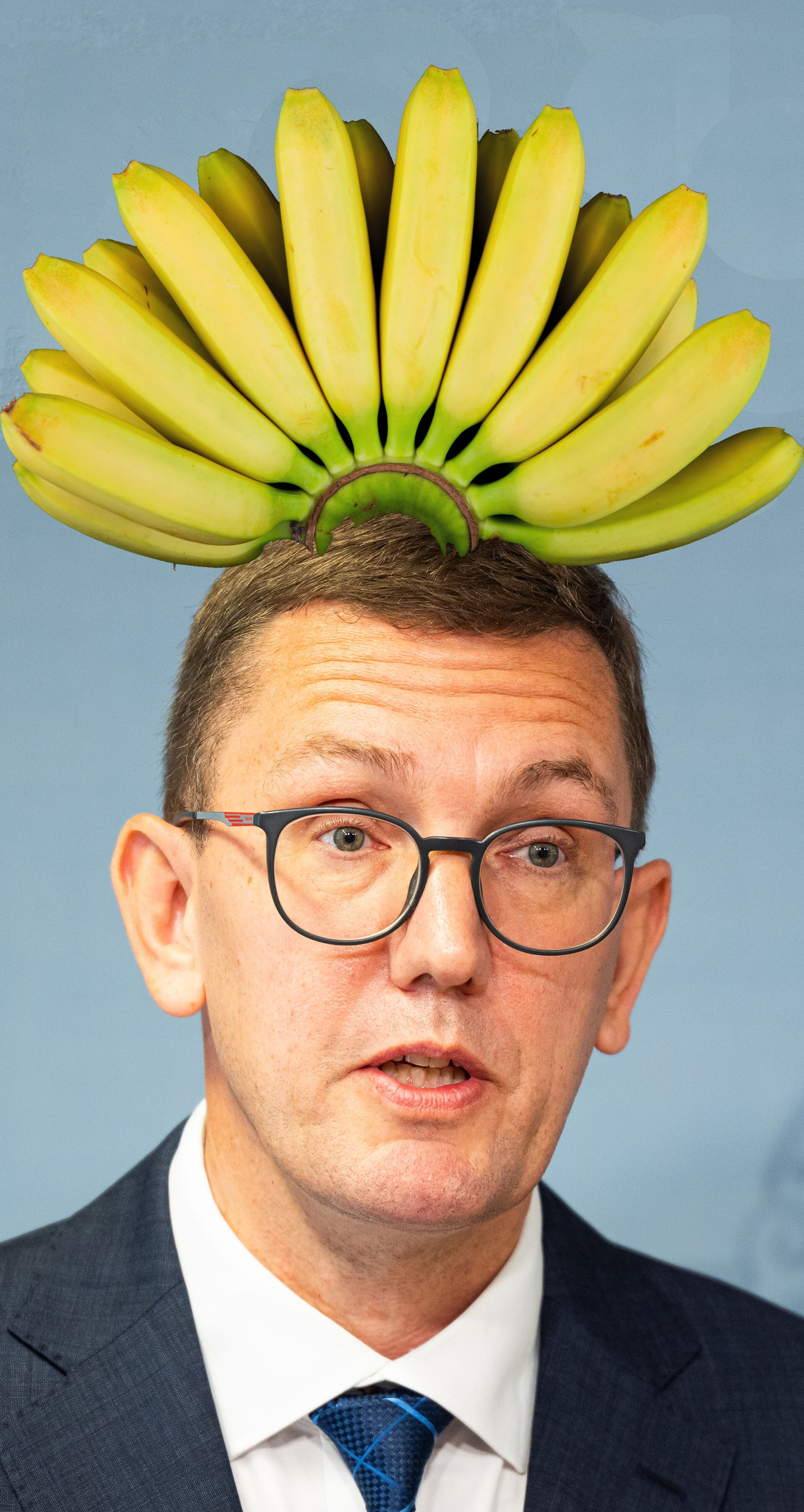 Ministry of banana public Blank Meme Template