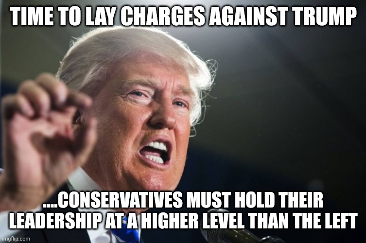 Deterrence of deception at all levels of government | Time to lay charges against trump; ....conservatives must hold their leadership at a higher level than the left | image tagged in donald trump | made w/ Imgflip meme maker