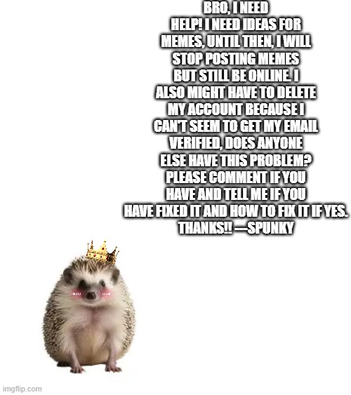 Bro, I need ideas, I will give you credit in the meme, too. | Bro, I need help! I need ideas for memes, until then, I will stop posting memes but still be online. I also might have to delete my account because I can't seem to get my email verified, does anyone else have this problem? Please comment if you have and tell me if you have fixed it and how to fix it if yes.
Thanks!! ---Spunky | image tagged in help,memes | made w/ Imgflip meme maker