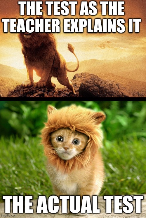 Or the other way around | The test as the teacher explains it; The actual test | image tagged in lion expectations vs reality | made w/ Imgflip meme maker