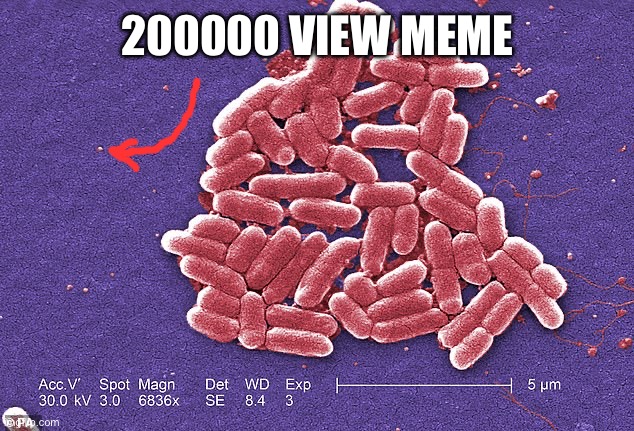 bacteria | 200000 view meme | image tagged in bacteria | made w/ Imgflip meme maker