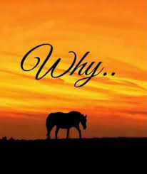 White Boy Why Blank Meme Template