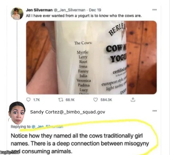 Wisdom from the De-facto Head of the Democrat Party | Sandy Cortez@_bimbo_squad.gov | image tagged in aoc yogurt meme | made w/ Imgflip meme maker
