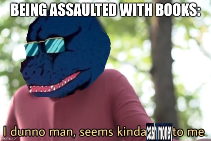 Assaulted by books | Being assaulted with books: | image tagged in i dunno man seems kinda cash money to me,books,assault | made w/ Imgflip meme maker
