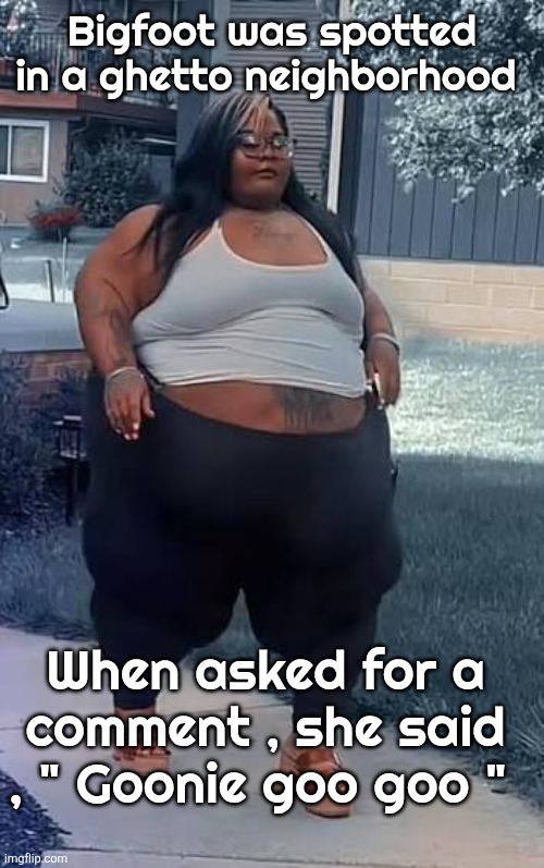 Goonie goo goo meme | Bigfoot was spotted in a ghetto neighborhood; When asked for a comment , she said , " Goonie goo goo " | image tagged in funny memes | made w/ Imgflip meme maker