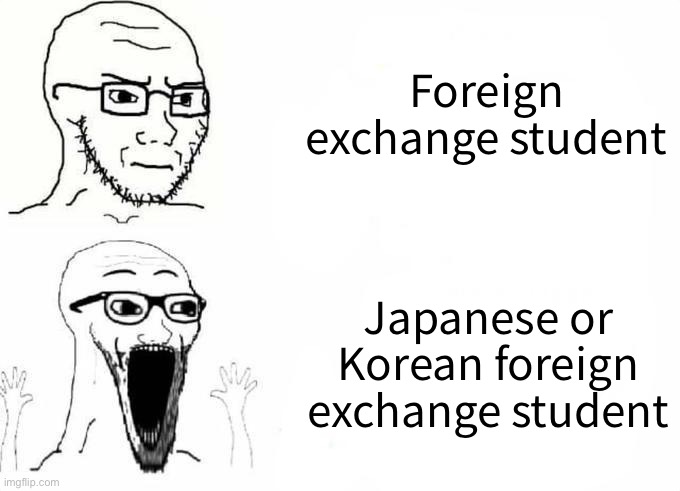 Selective xenophobia in a nutshell | Foreign exchange student; Japanese or Korean foreign exchange student | image tagged in place japan template,foreigner,xenophobia | made w/ Imgflip meme maker