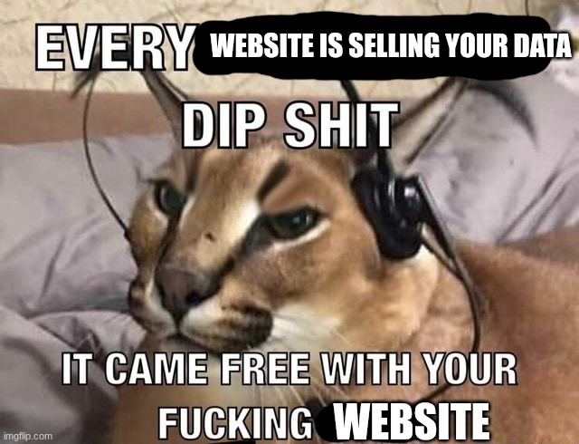 Everyone has X Dip Shit | website is selling your data website | image tagged in everyone has x dip shit | made w/ Imgflip meme maker