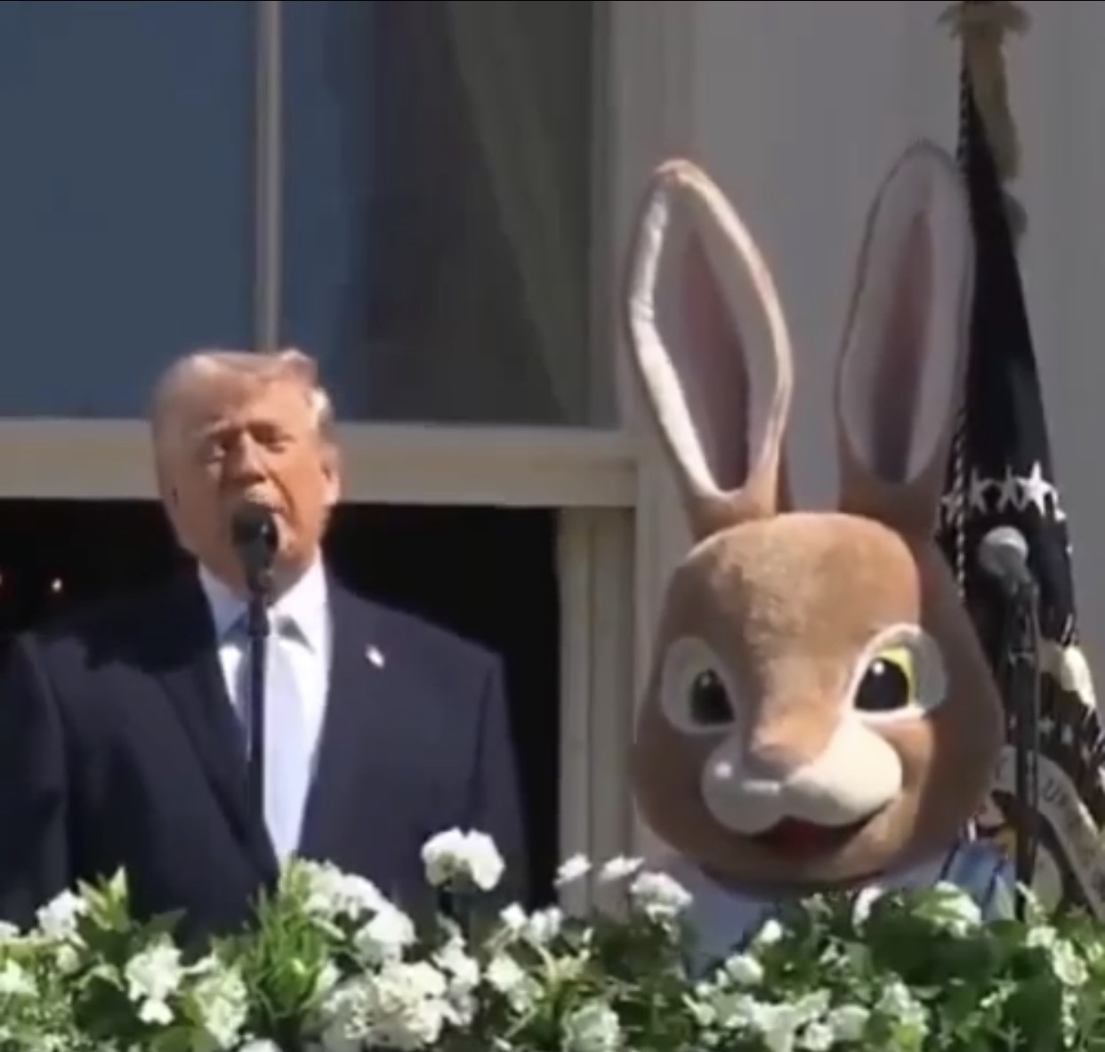 Happy Bridgeaster Blank Meme Template