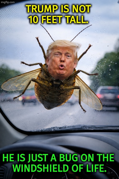 Trump bug on a windshield | Trump is not 10 feet tall. He is just a bug on the 
windshield of life. | image tagged in trump,bug,windshield,small | made w/ Imgflip meme maker