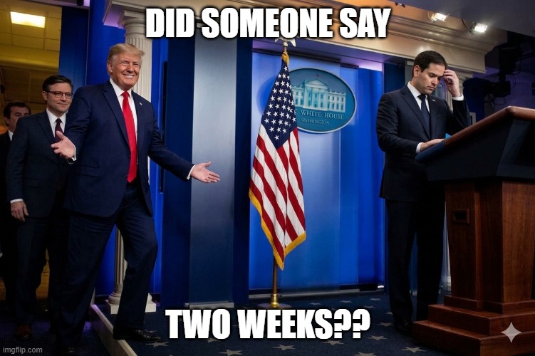 It's always "2 weeks" | did someone say; two weeks?? | made w/ Imgflip meme maker